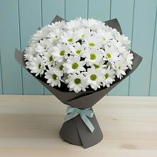 Букет белые хризантемы #REPLACE_PRED# Кугеси Букет цветов из:  Хризантемы #REPLACE_PRED# Кугеси