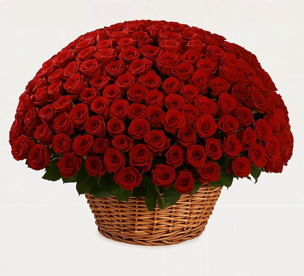 251 Премиум красная роза в Кугеси Премиум букет из: Розы в Кугеси