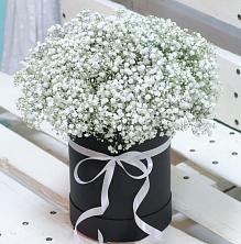 Цветочная композиция из Гипсофила в шляпной коробке в Кугеси